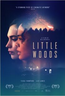 دانلود فیلم Little Woods 201822292-9585129