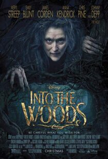 دانلود فیلم Into the Woods 20143675-547312072