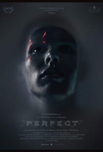 دانلود فیلم Perfect 201818991-1939293737