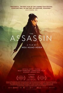 دانلود فیلم The Assassin 201513760-110615953