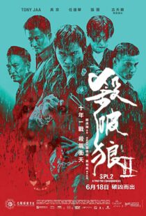 دانلود فیلم Kill Zone 2 20151845-1220445129