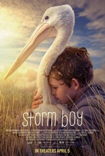 دانلود فیلم Storm Boy 20199003-182508207