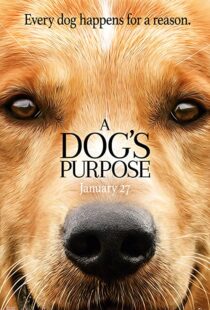 دانلود فیلم هندی A Dog’s Purpose 201741616-1706522562