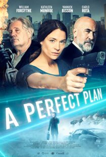 دانلود فیلم A Perfect Plan 202043957-1876358452
