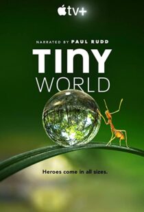 دانلود مستند Tiny World52124-203226340