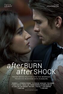 دانلود فیلم Afterburn/Aftershock 201777302-1104901778