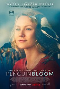دانلود فیلم Penguin Bloom 202073302-1988689568