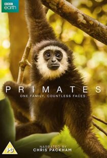 دانلود مستند Primates77865-291303199