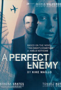 دانلود فیلم A Perfect Enemy 202082295-1588638936