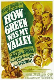 دانلود فیلم How Green Was My Valley 194181855-1061395666