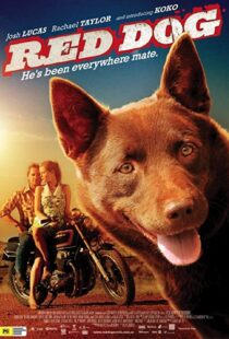 دانلود فیلم Red Dog 201187414-1866622540