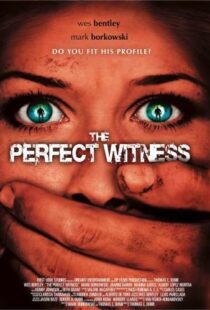 دانلود فیلم The Perfect Witness 200796937-1943671878