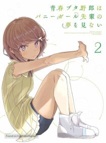 دانلود انیمه Rascal Does Not Dream of Bunny Girl Senpai95225-178712846