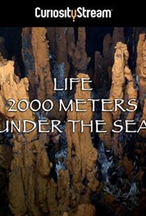 دانلود مستند Life 2,000 Meters Under the Sea 2014103931-685521786