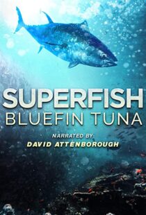 دانلود مستند Superfish Bluefin Tuna 2012101607-214078380