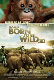 دانلود مستند Born to Be Wild 2011110503-409274917