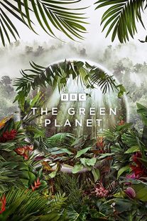 دانلود مستند The Green Planet232029-1553521038