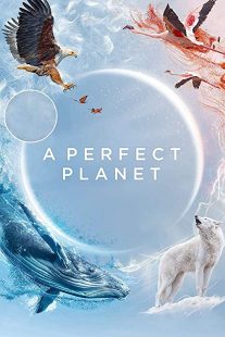 دانلود مستند A Perfect Planet231098-664061926