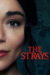 دانلود فیلم The Strays 2023321987-2030925758