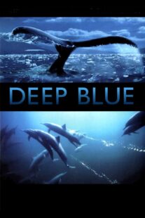 دانلود فیلم Deep Blue 2003333037-439202791