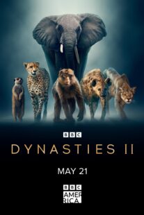 دانلود سریال Dynasties370061-1165749912