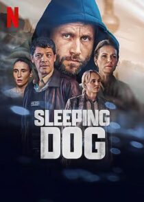 دانلود سریال Sleeping Dog369886-212686136