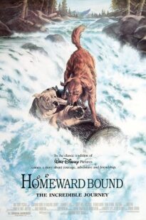 دانلود فیلم Homeward Bound: The Incredible Journey 1993371118-447561827