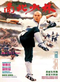 دانلود فیلم Martial Arts of Shaolin 1986376976-1991121180