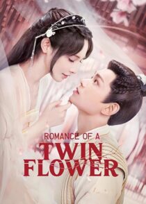 دانلود سریال Romance of a Twin Flower379211-794408004