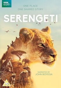 دانلود سریال Serengeti378761-1298934022