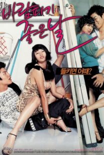 دانلود فیلم کره‌ای A Good Day to Have an Affair 2007384531-555230185