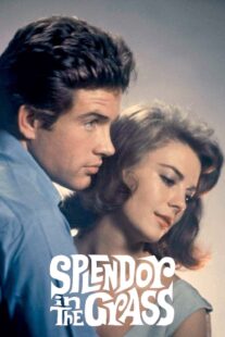 دانلود فیلم Splendor in the Grass 1961382554-1480708159