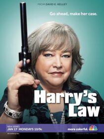 دانلود سریال Harry’s Law393952-1400401031