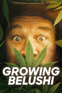 دانلود سریال Growing Belushi400424-1424204982