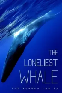 دانلود فیلم The Loneliest Whale: The Search for 52 2021403098-1764355156
