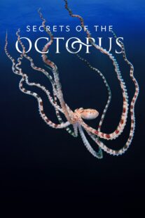دانلود سریال Secrets of the Octopus401286-734348208