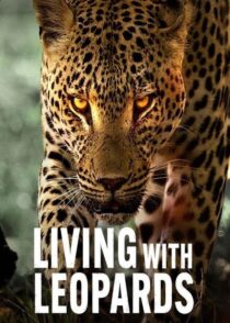 دانلود مستند Living with Leopards 2024400477-2126726095