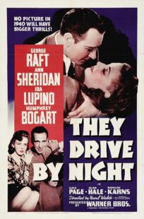 دانلود فیلم They Drive by Night 1940411221-1861872999