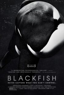 دانلود فیلم Blackfish 2013412328-1350317858