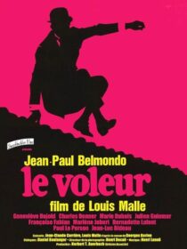 دانلود فیلم The Thief of Paris 1967411692-642508557