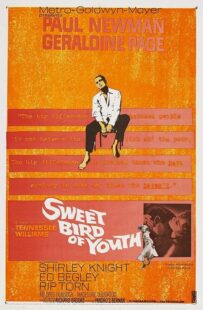 دانلود فیلم Sweet Bird of Youth 1962415738-1025398275