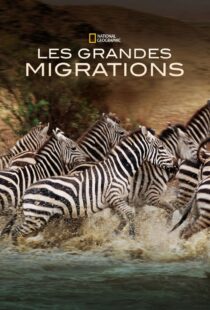 دانلود مستند Great Migrations417146-1327186409