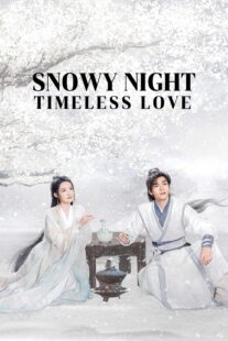 دانلود سریال Snowy Night Timeless Love417168-836665409