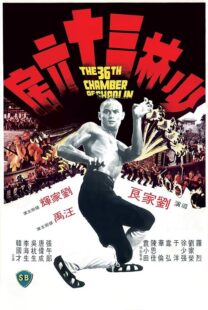 دانلود فیلم The 36th Chamber of Shaolin 1978418237-1625773566