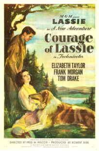 دانلود فیلم Courage of Lassie 1946417427-1112209101