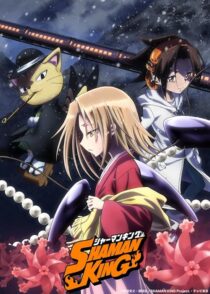 دانلود انیمه Shaman King422246-1333751883