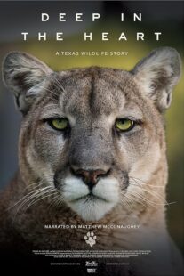 دانلود مستند Deep in the Heart: A Texas Wildlife Story 2022421545-180543636