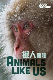 دانلود مستند Animals Like Us423066-2074318854