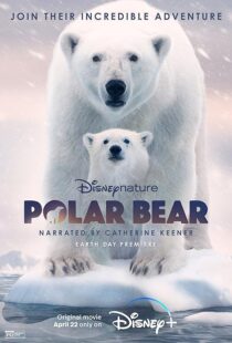 دانلود مستند Polar Bear 2022422974-1822287125