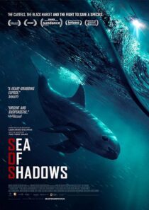 دانلود فیلم Sea of Shadows 2019427147-693724803
